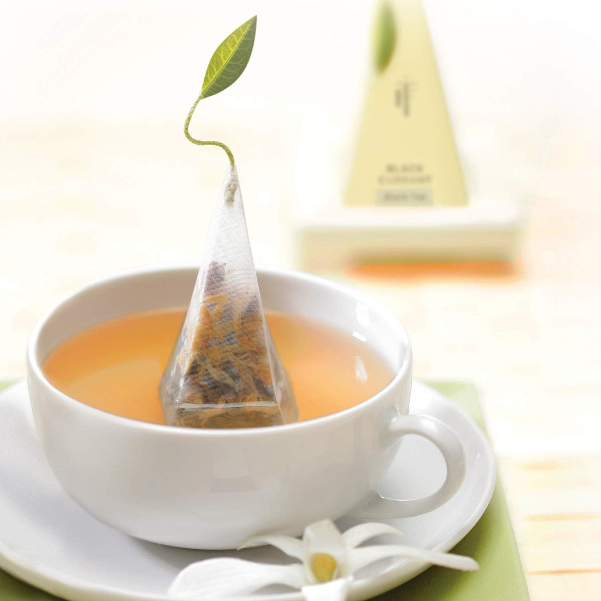 Tea Forte Premium Petite Gift Set – 10 Black Tea Pyramid Infusers (2 of Each Blend)