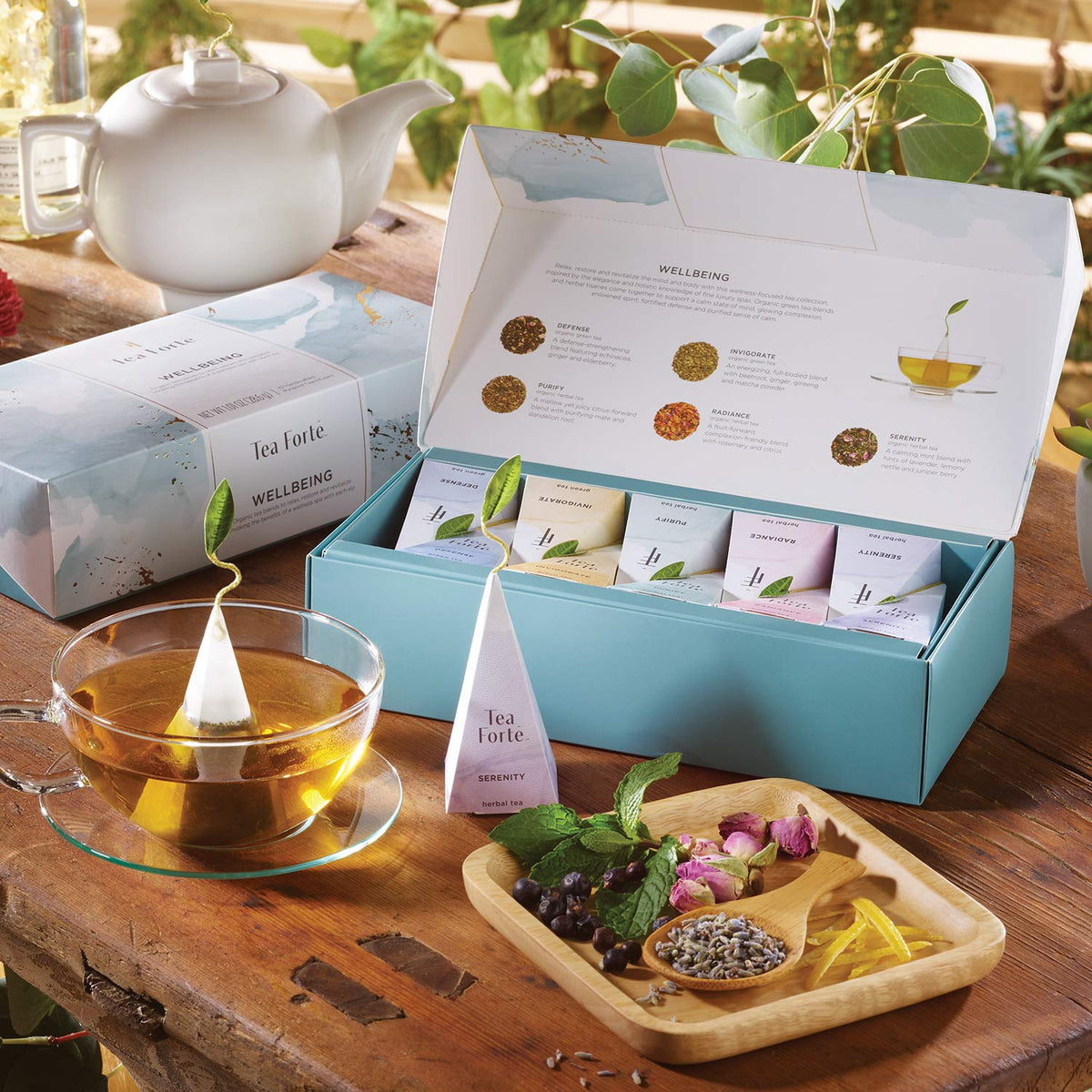 Tea Forte Premium Petite Gift Set – 10 Pyramid Infusers (2 of Each Blend)