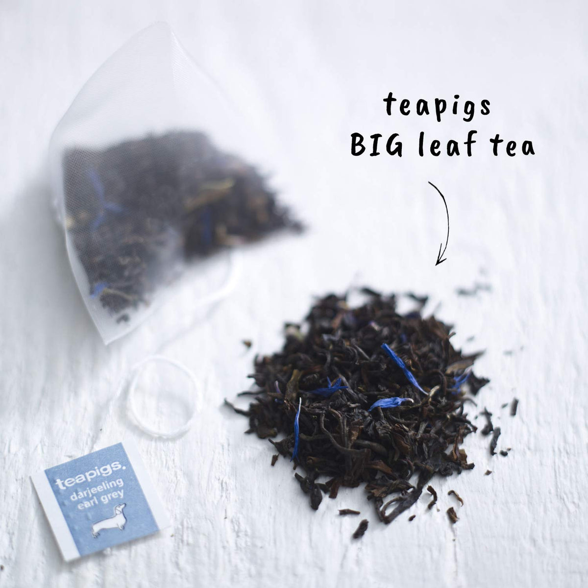 Teapigs Darjeeling Earl Grey Tea Bags – Whole Leaf, Non-GMO, Elegant Floral Blend, 50 Count