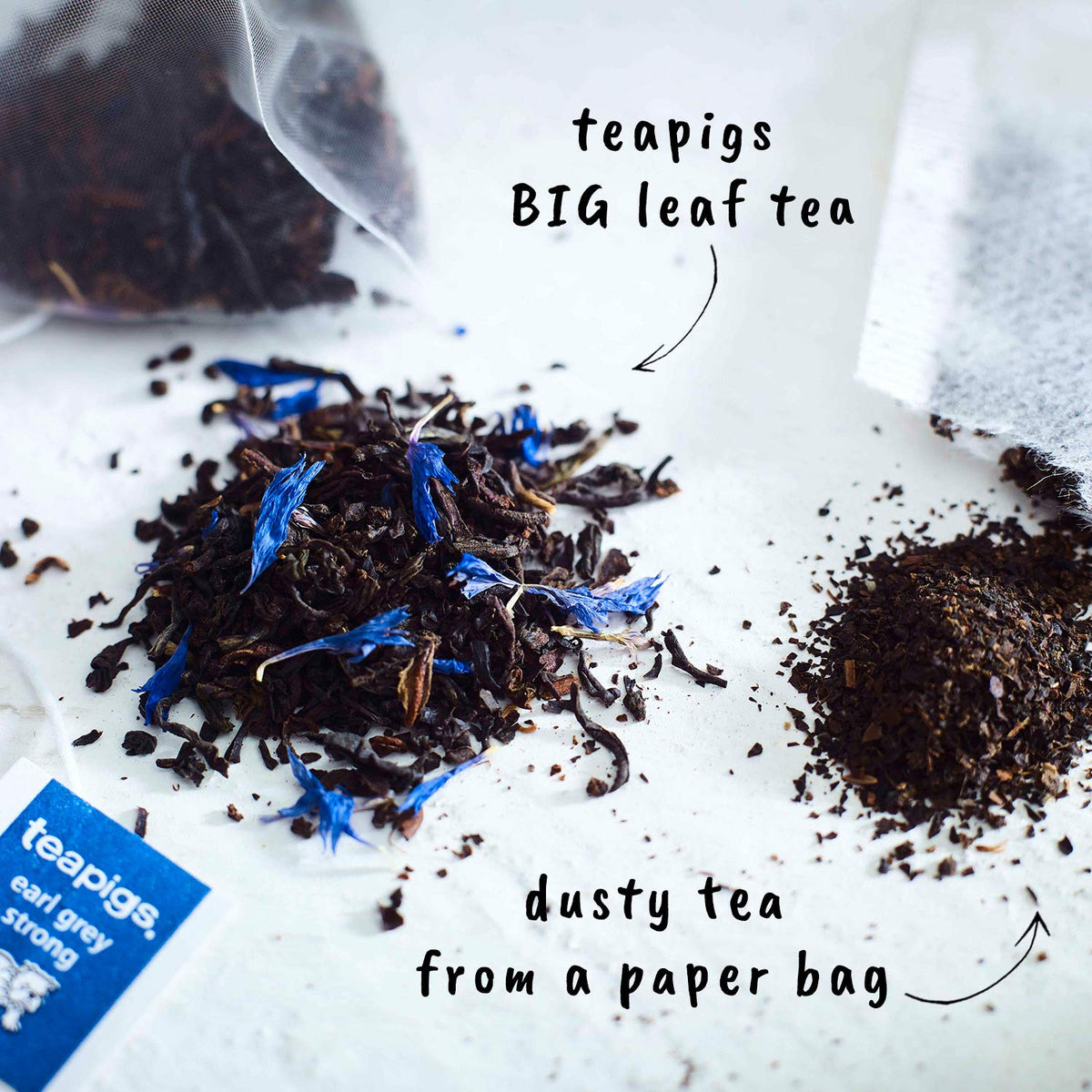Teapigs Earl Grey Strong — Whole-Leaf Bergamot Tea, 50-Count Box