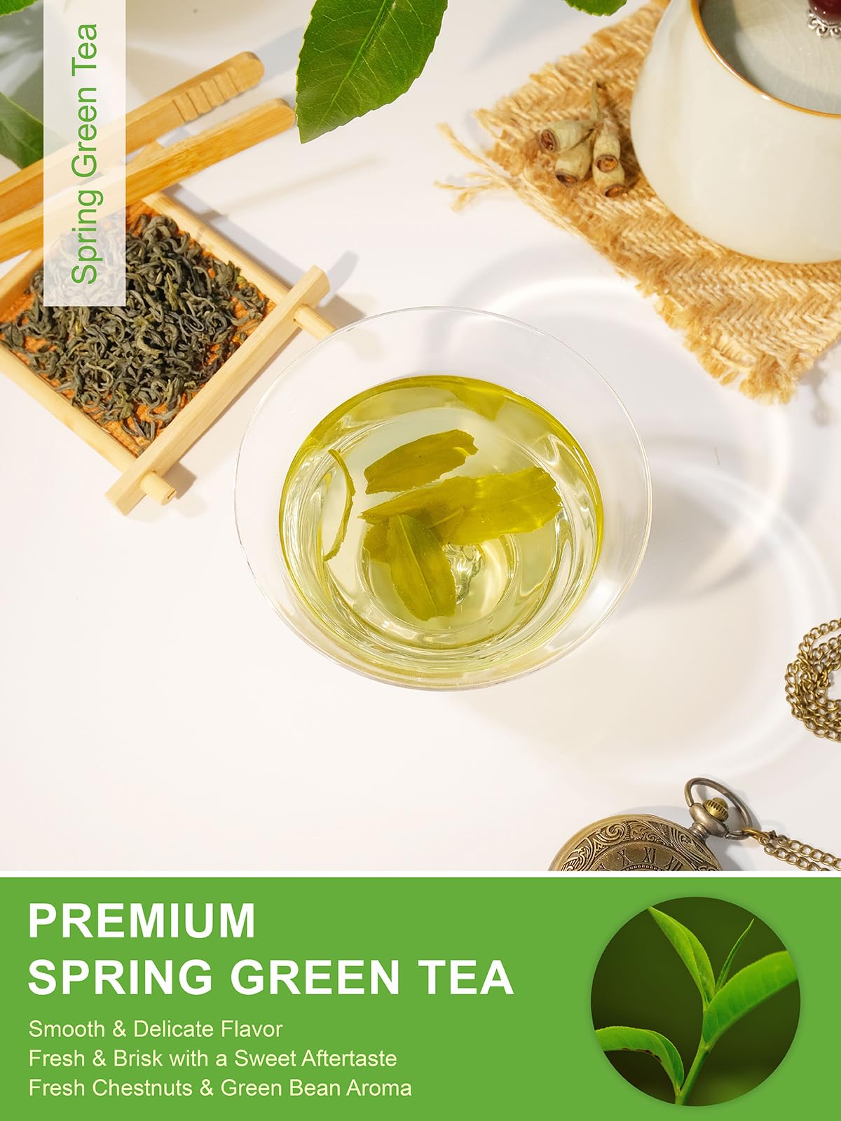 TeeLux Green Tea Loose Leaf – Premium Early Spring, Fresh & Mellow (16oz)