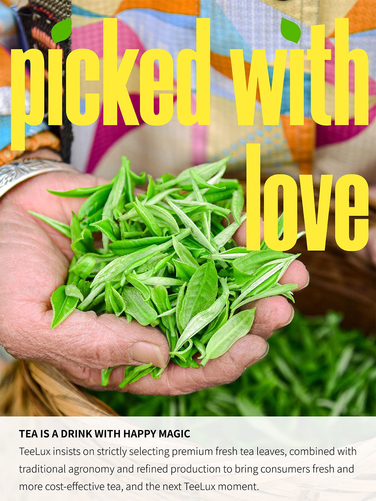 TeeLux Green Tea Loose Leaf – Premium Early Spring, Fresh & Mellow (16oz)