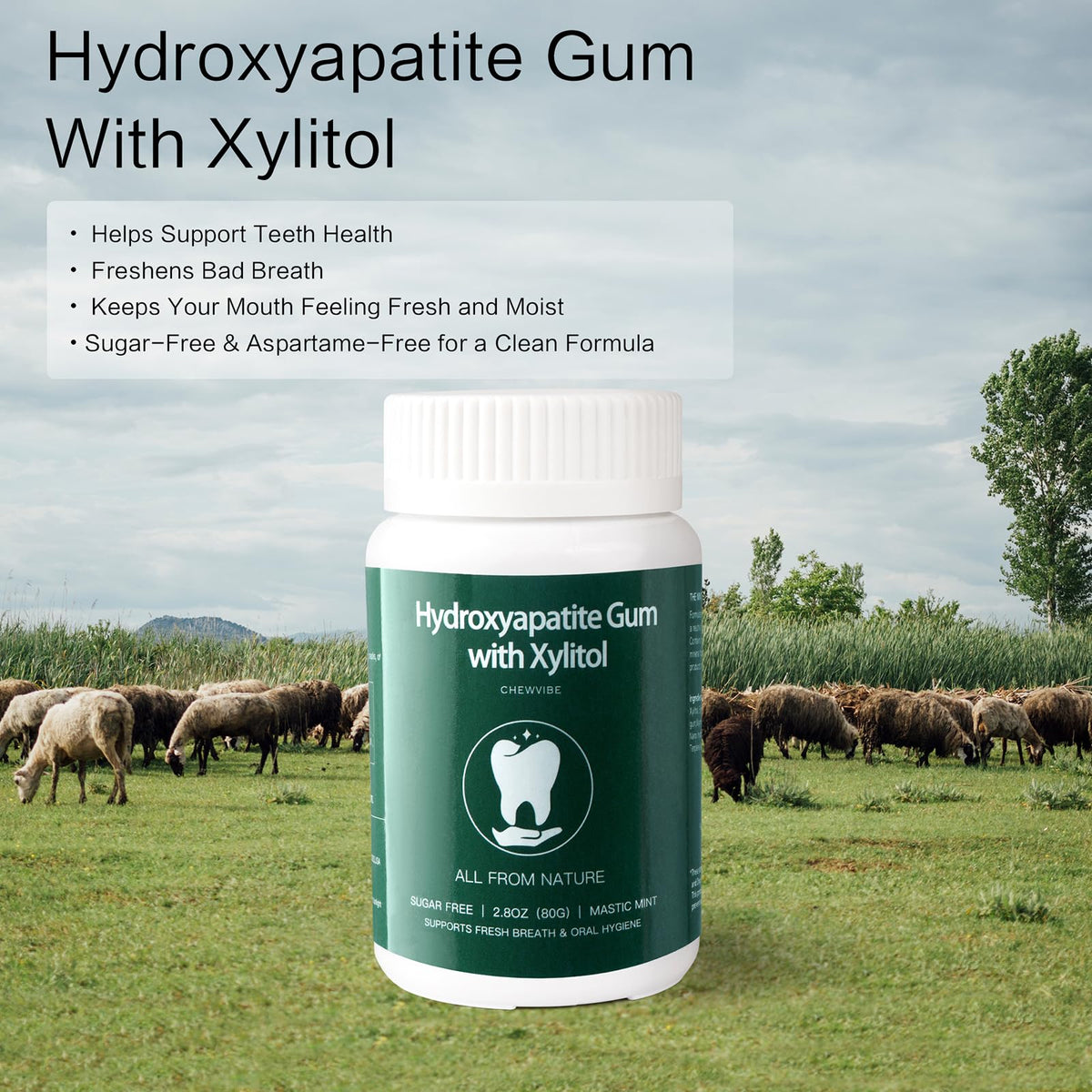 TemphytBong Remineralizing Gum 80g – Sugar-Free Mint with Hydroxyapatite for Enamel Support