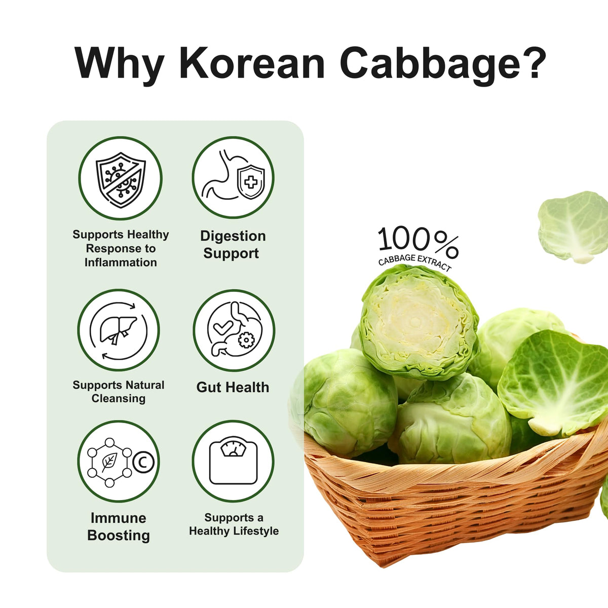 Terrapick Korean Cabbage Extract — Pure 100% Cabbage Juice for Digestive Wellness, 30 Pouches