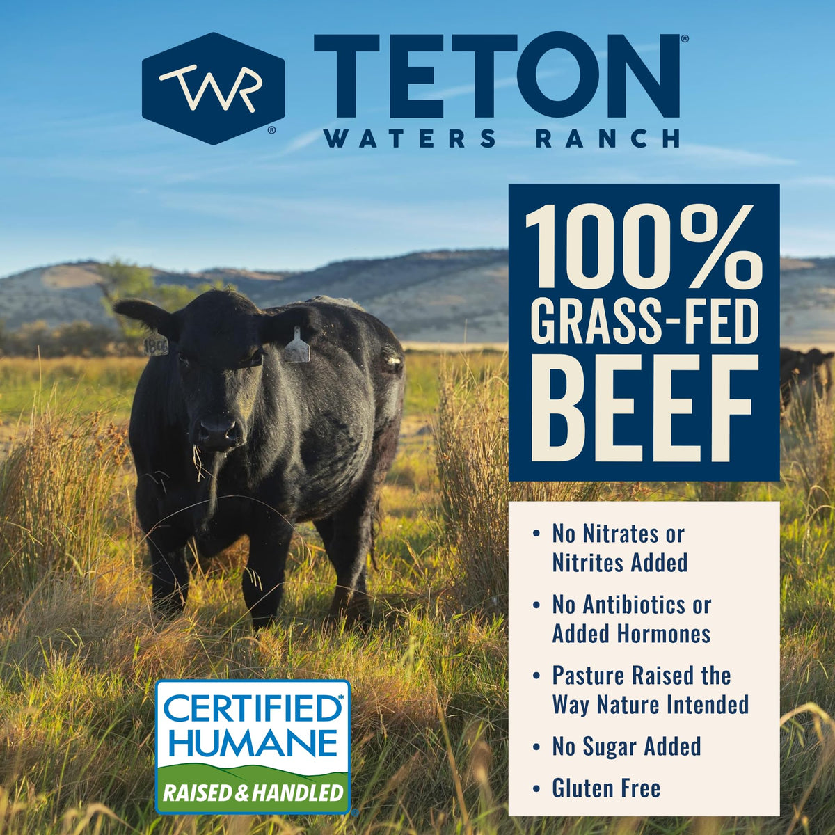 Teton Waters Ranch 100% Grass-Fed Beef Burgers – Frozen Patties, No Antibiotics, Gluten Free, Certified Humane | 4 Count