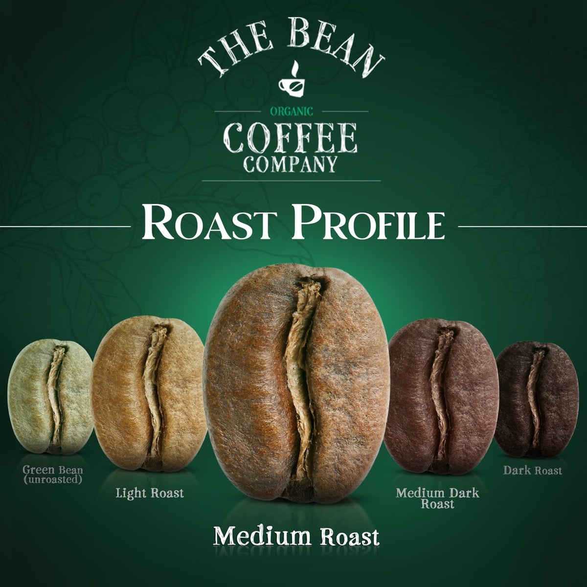 The Bean Organic Coffee Company Aloha Bean: Hawaiian Hazelnut, Medium Roast, Whole Bean Coffee, 16-Ounce Bag
