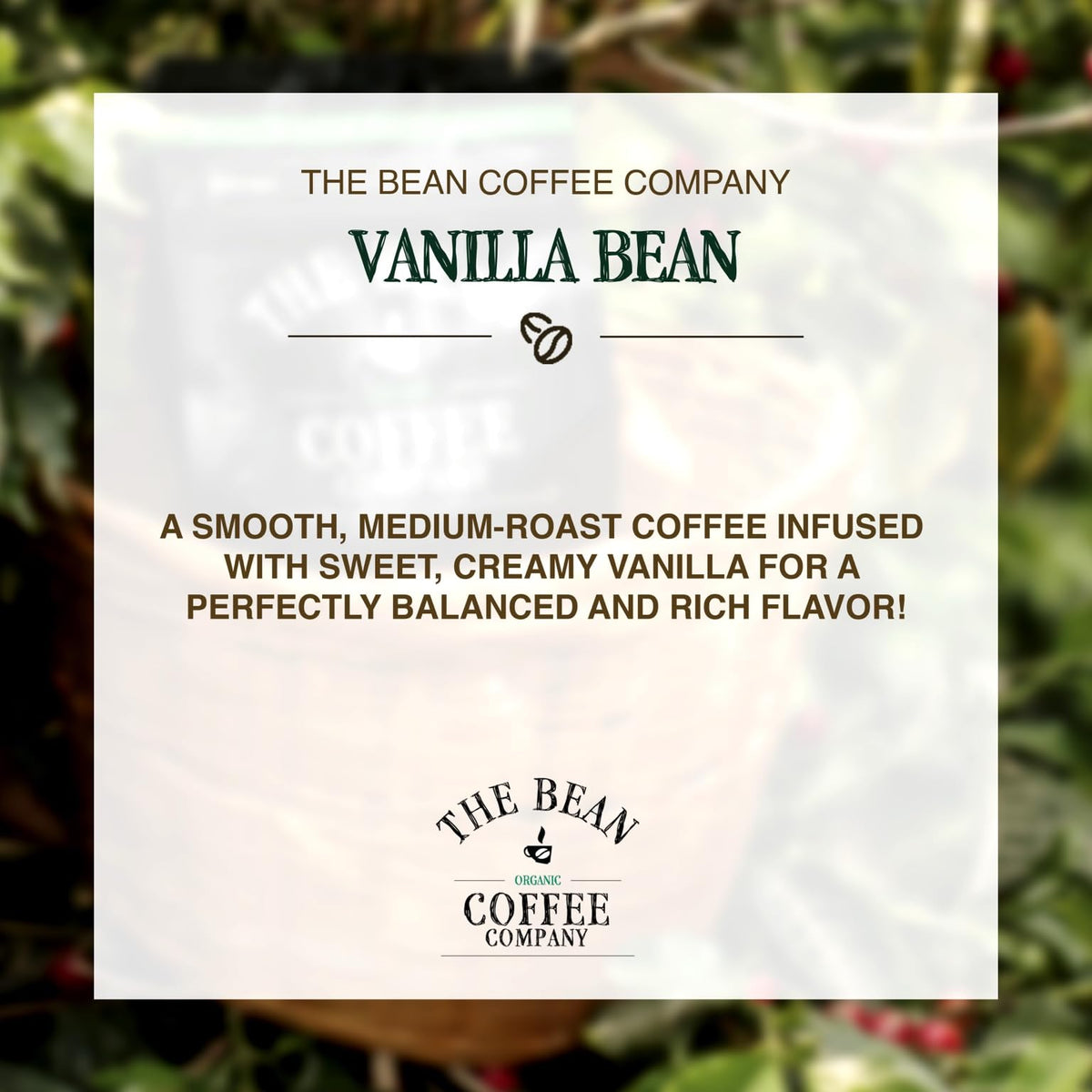 The Bean Organic Vanilla Bean Coffee — Medium Roast, Whole Bean, 16 oz | The Bean Coffee Company