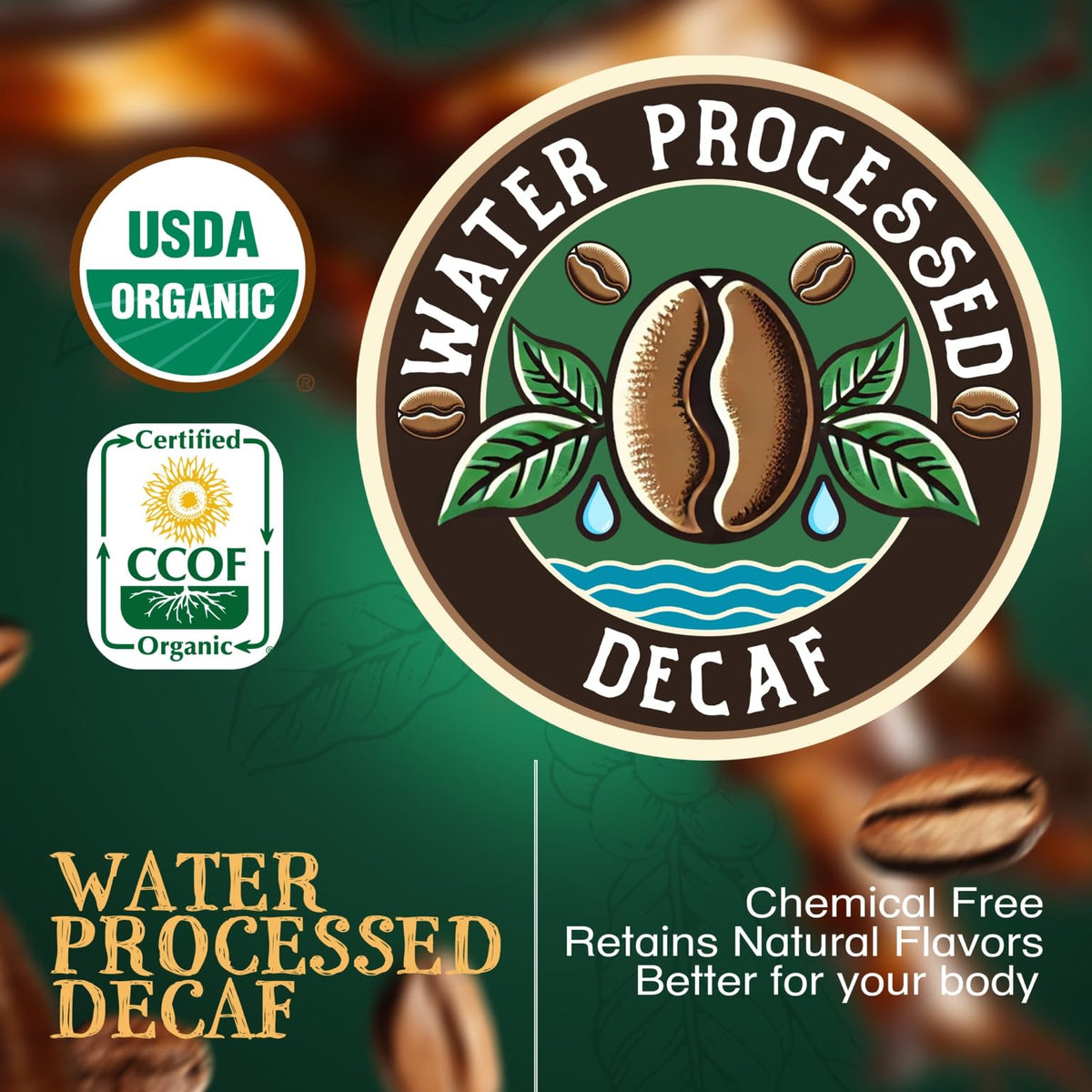 Le Bean Dark French Roast Decaf – The Bean Coffee Company, Organic Arabica, Swiss Water Process, Whole Bean, 16 oz