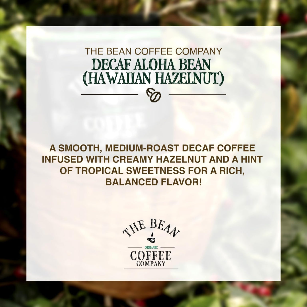 The Bean Water Processed DECAF Aloha Bean Hawaiian Hazelnut – 16oz Whole Bean