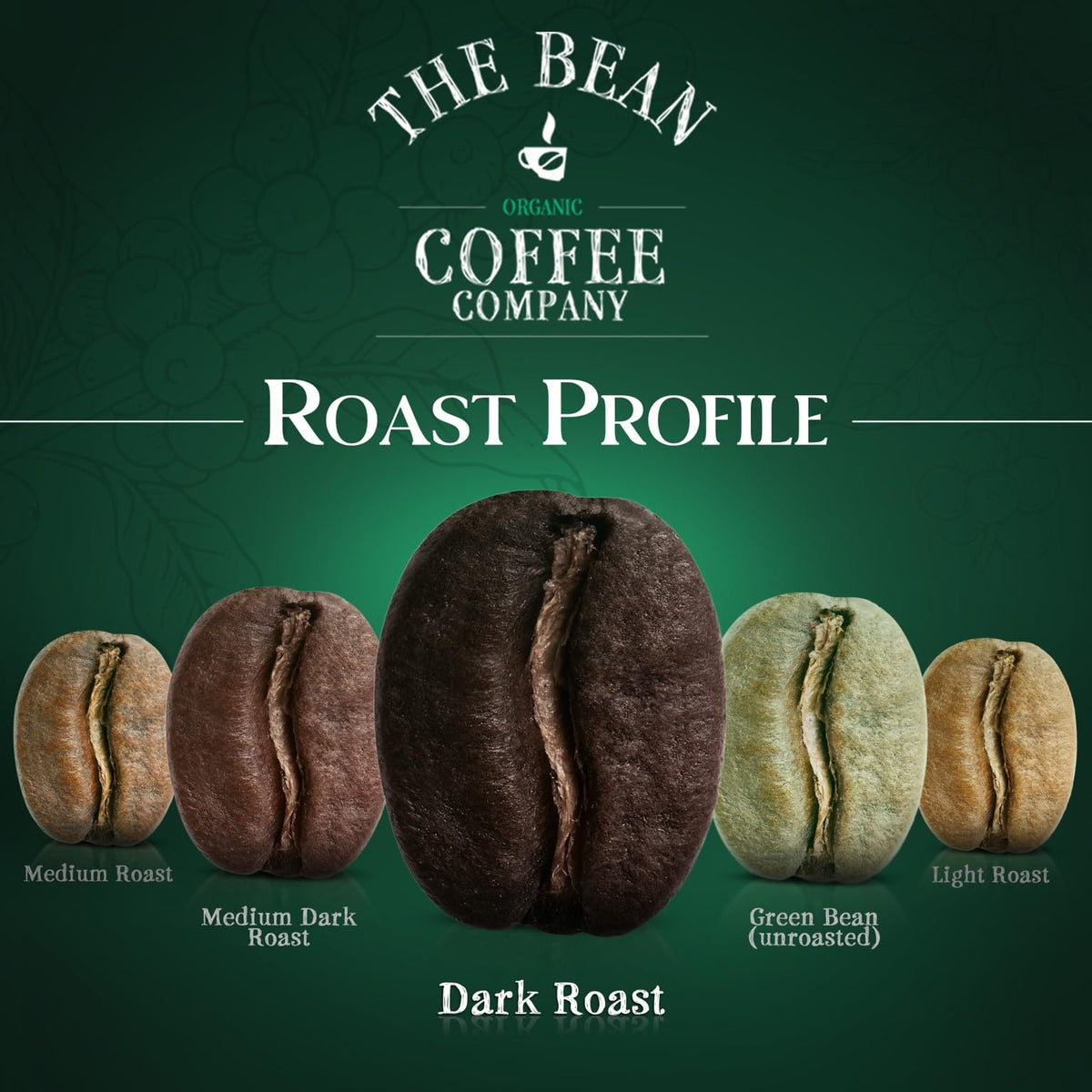 The Bean Organic Coffee Company 50/50 French Roast – 50% Decaf, Whole Bean, 16 oz, USDA Organic