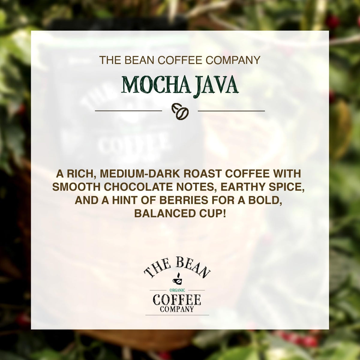 The Bean Organic Coffee Company Mocha Java – Medium Roast, Whole Bean, 16oz