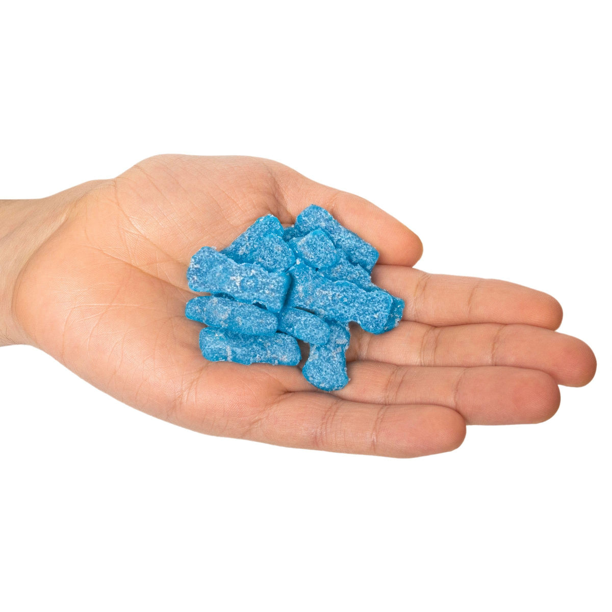 Sour Patch Kids Blue Raspberry 3.6 oz Bags (12-Pack) | The Hampton Candy Company