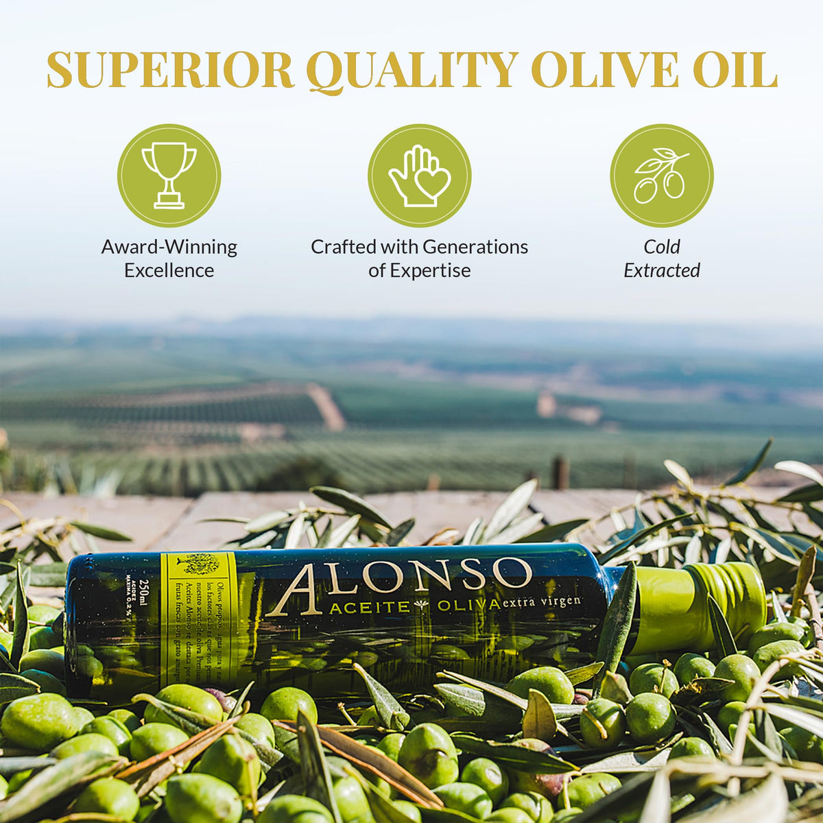 Alonso Coratina EVOO | The Olive Trading Co. | Chile Gold NYIOOC 2025 | 643 mg/kg Polyphenols