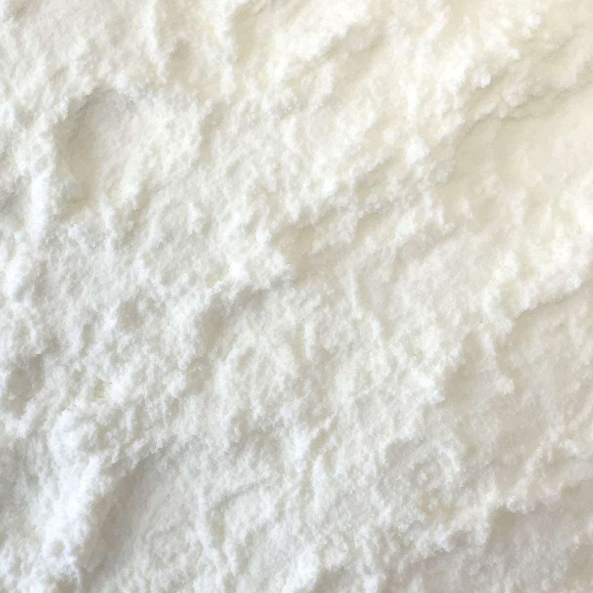 Non-Fat Dry Milk Powder, Grade A | High-Heat Pasteurized, Non-GMO, Gluten-Free | The Sausage Maker
