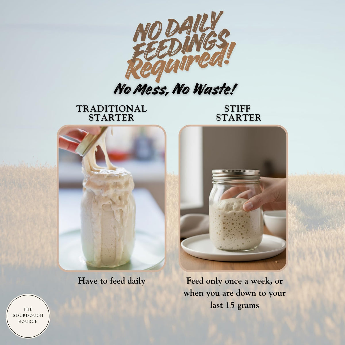 Einkorn Dehydrated Italian Sourdough Starter | The Sourdough Source | Low Maintenance, Double Batch