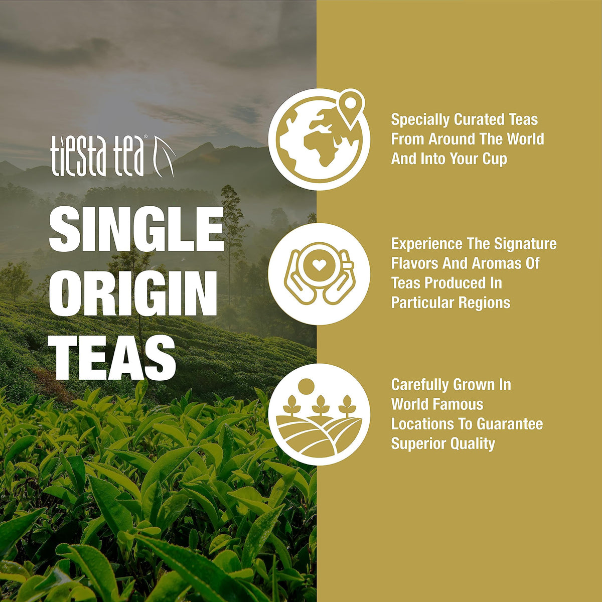 Tiesta Tea Single Origin Sampler Dry Flight Set — 7 Pouches, Hot & Iced, Mother's Day Gift