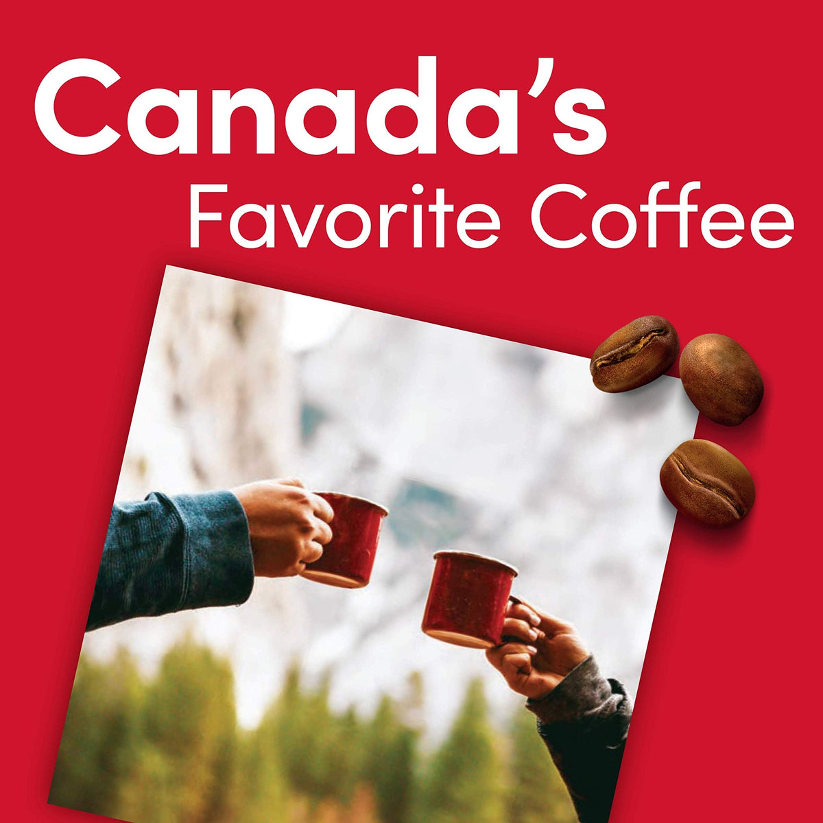 Tim Hortons Whole Bean Original Coffee – Medium Roast, 100% Arabica, 12 oz, 6-Pack