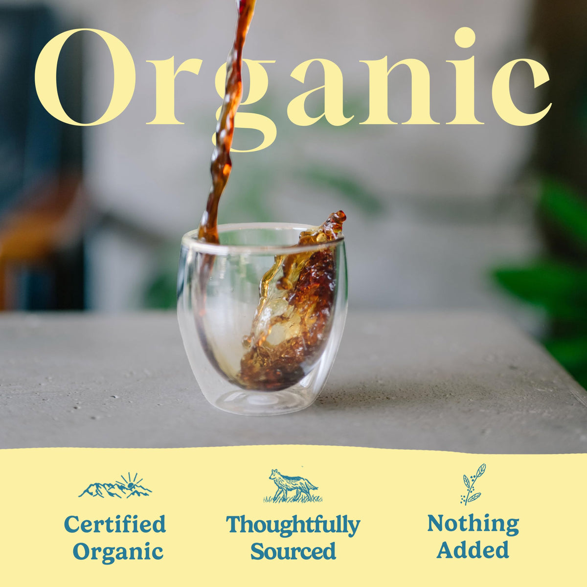 Tokyo Coffee Organic Blend – 100% Arabica Whole Bean, Medium-Dark Roast, 12 oz