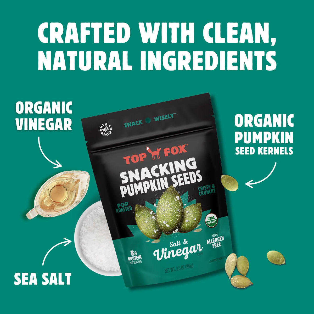 Top Fox Snacks Pumpkin Seeds to Eat Salt & Vinegar – 3.5 oz Pack of 6 | Gluten Free, Keto & Vegan