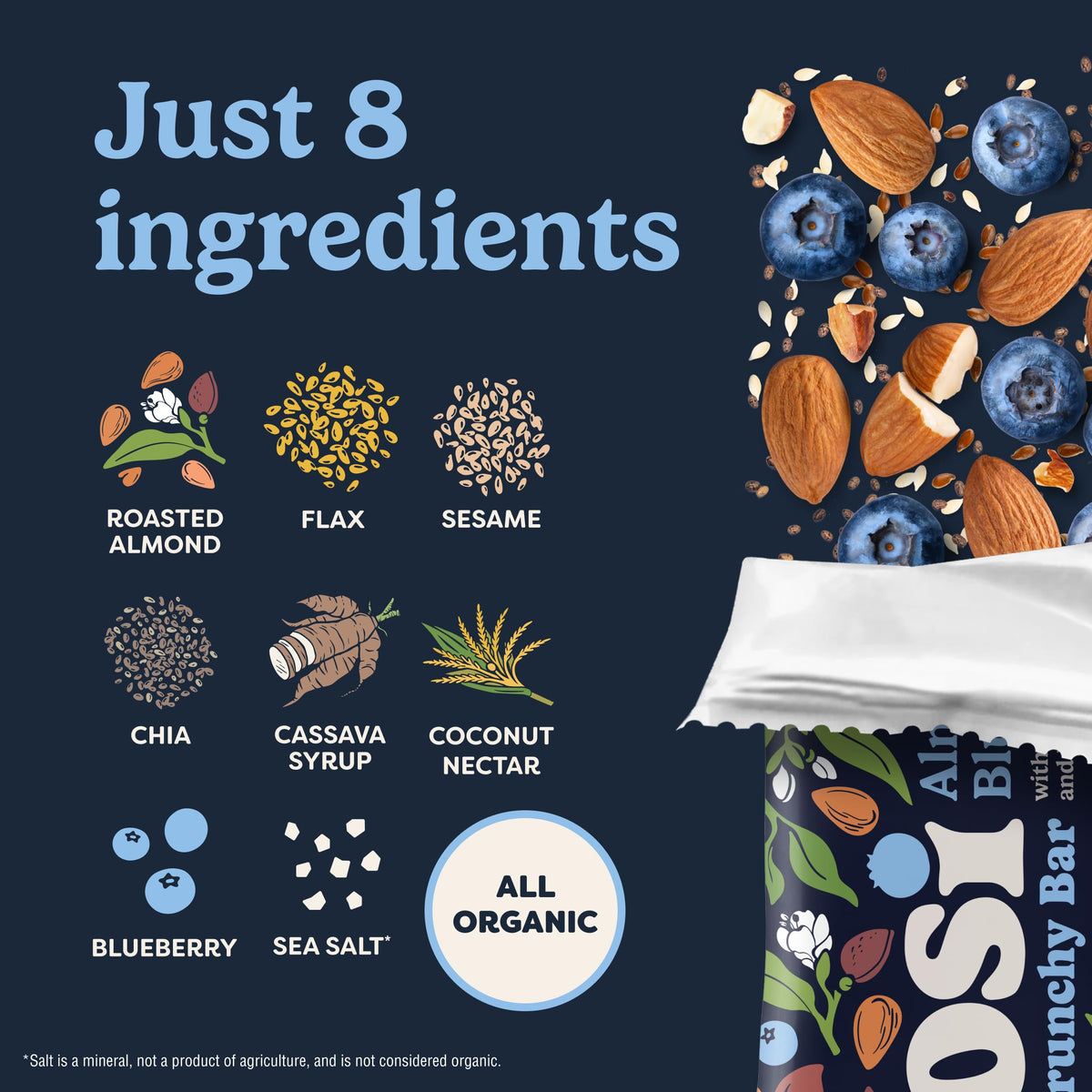 Tosi Meal Nut Bars – Almond Blueberry, Plant-Based Protein Bar, Vegan, Gluten & Soy Free, 2.4oz, 12-Pack