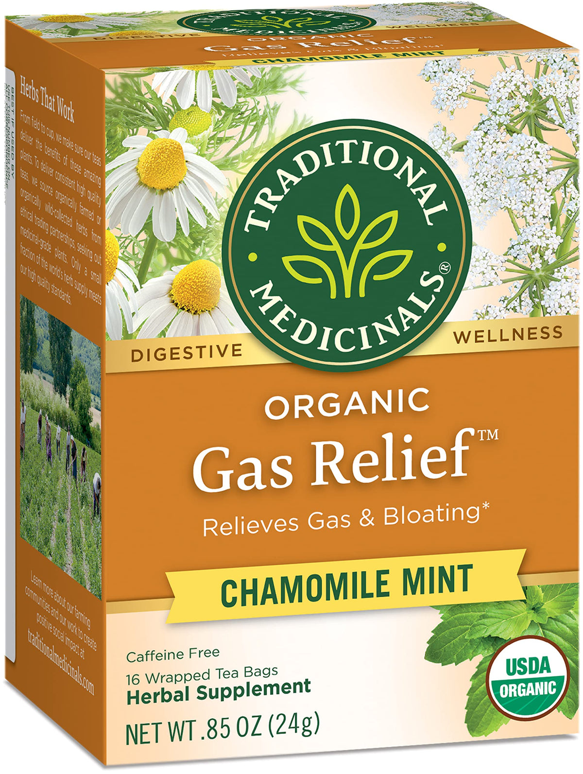 Traditional Medicinals Organic Gas Relief Chamomile Mint Tea – Pack of 3 (48 Tea Bags)