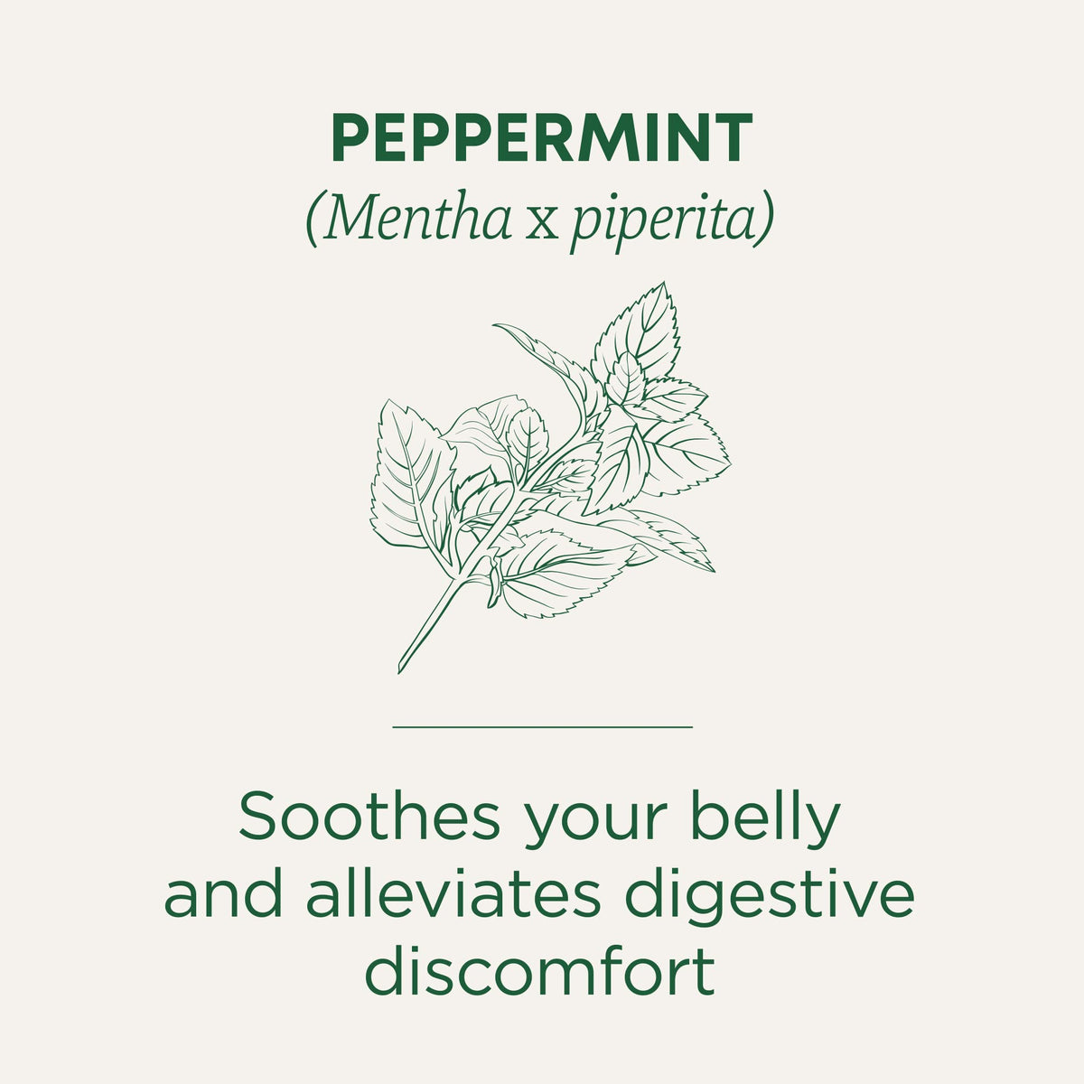 Traditional Medicinals Organic Peppermint Tea – Soothes Belly, Refreshing Mint, 96 Tea Bags (6 Pack)