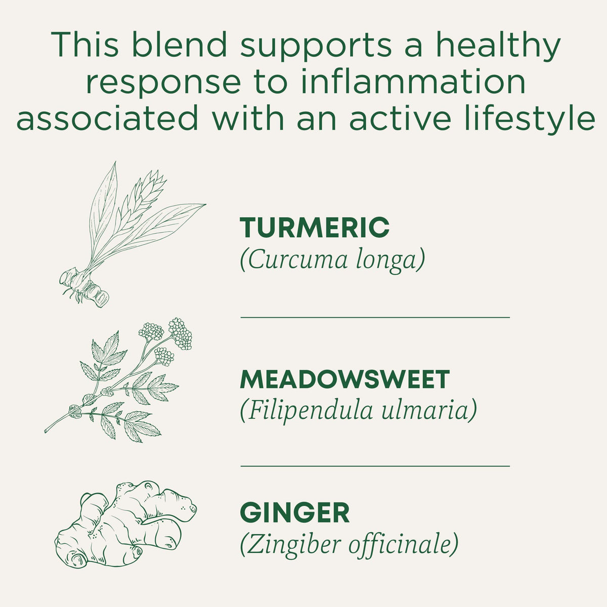 Traditional Medicinals Organic Turmeric with Meadowsweet & Ginger Herbal Tea – 96 Tea Bags (Pack of 6)