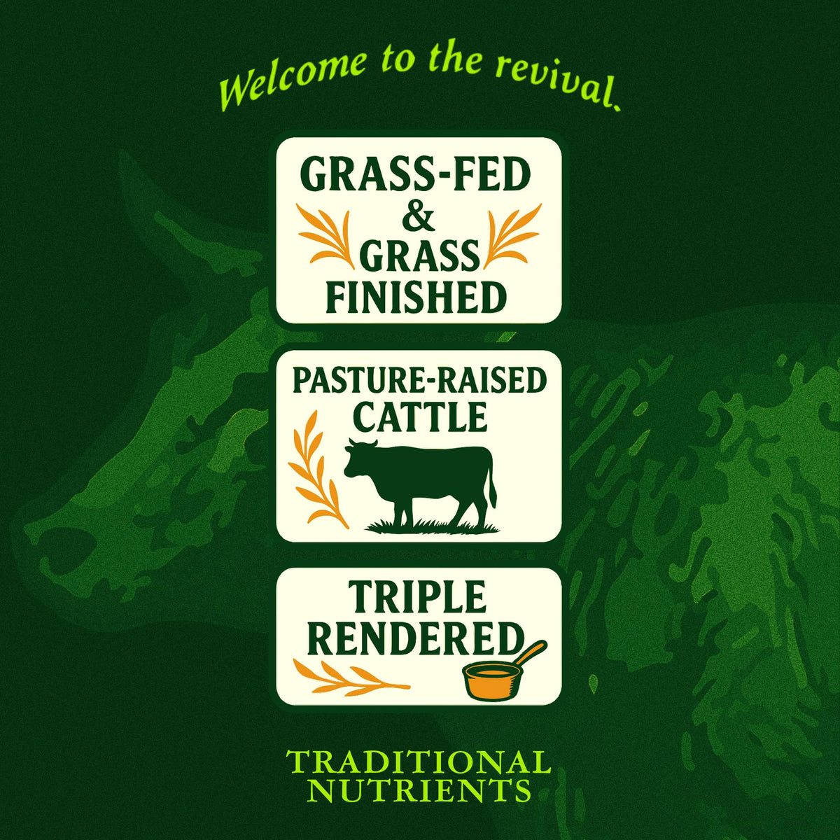 Traditional Nutrients Pasture Raised Beef Tallow – Grass-Fed & Grass-Finished, 14oz Jar