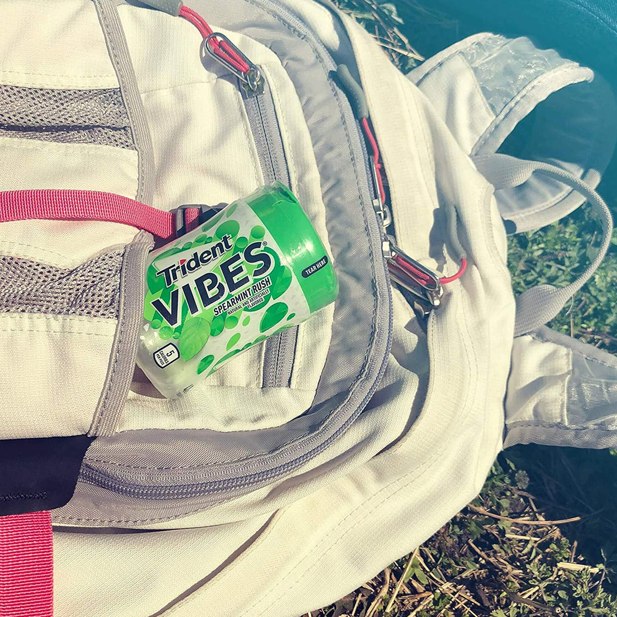Trident Vibes Spearmint Rush Sugar-Free Gum — 6 Bottles, 240 Pieces