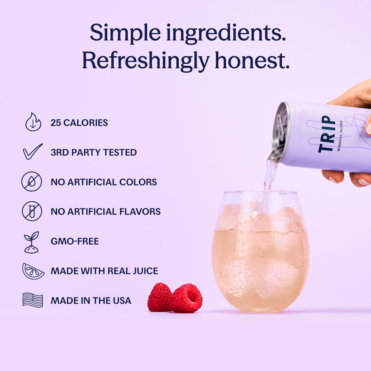 TRIP Lightly Sparkling Adaptogen Drink – Raspberry Blossom, No Added Sugar, Vegan, 12 oz, 12 Pack