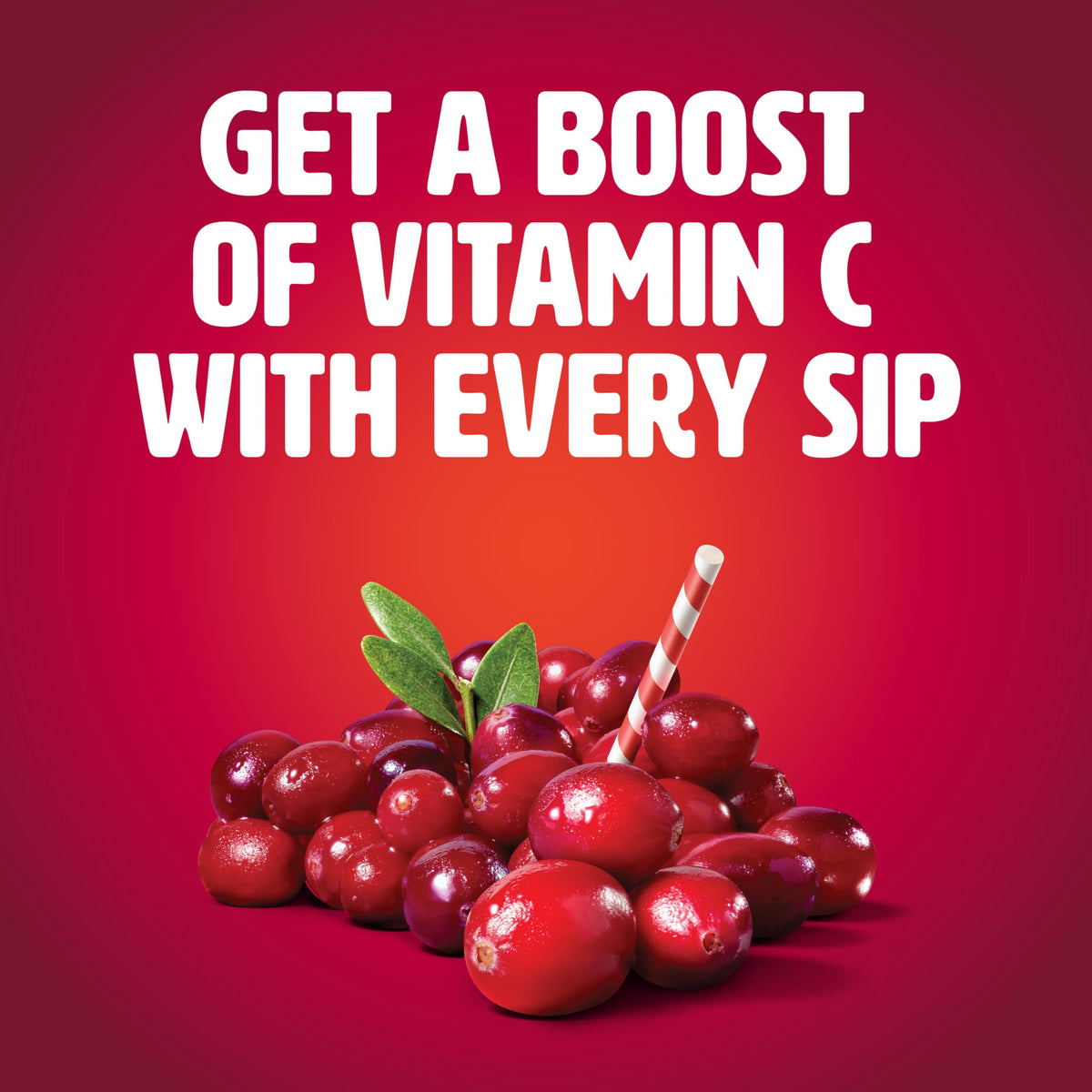 Tropicana Cranberry Juice Drink – 12 Pack (15.2 oz Each) | Tart Cranberry Flavor with Vitamin C