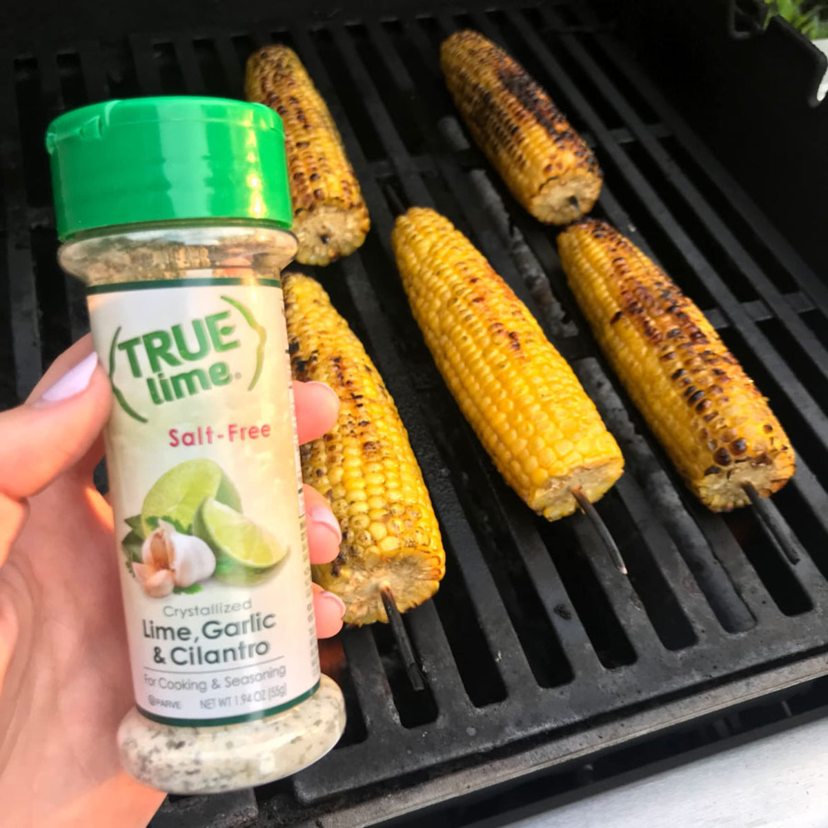 True Lemon Salt Free Seasoning Variety Pack | True Citrus — Gluten Free, Non-GMO