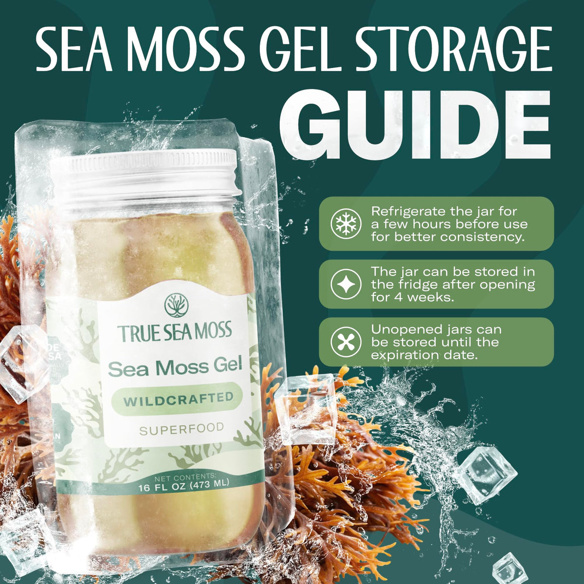 TrueSeaMoss Sea Moss Gel – Wildcrafted Seamoss, 16oz Jar, Made in USA