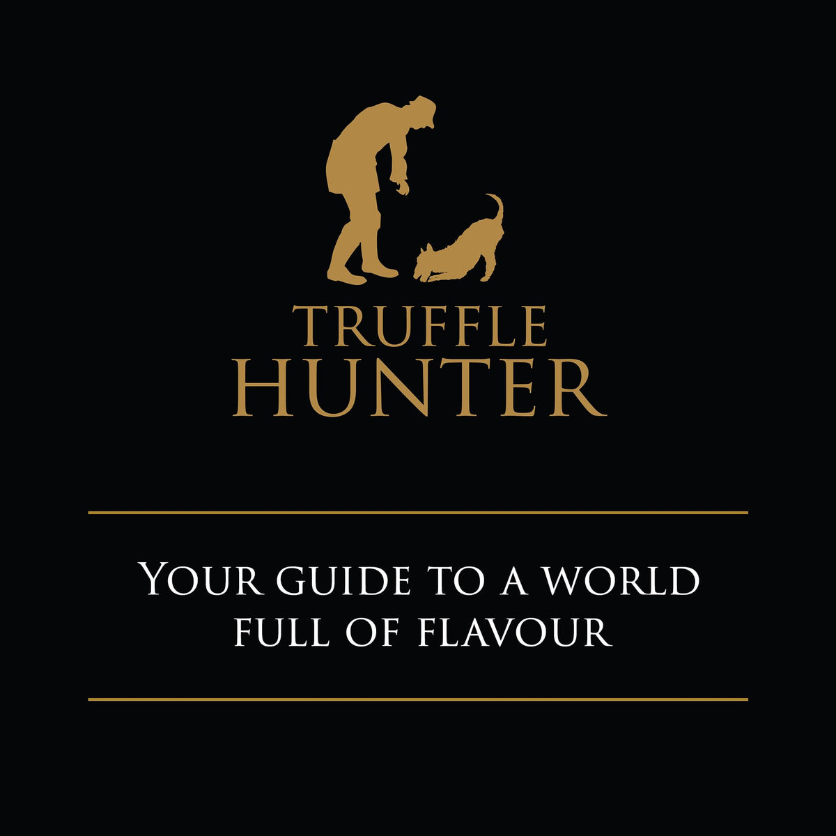 TruffleHunter Black Truffle Oil - Extra Virgin Olive Oil for Cooking & Seasoning - 8.45 Oz