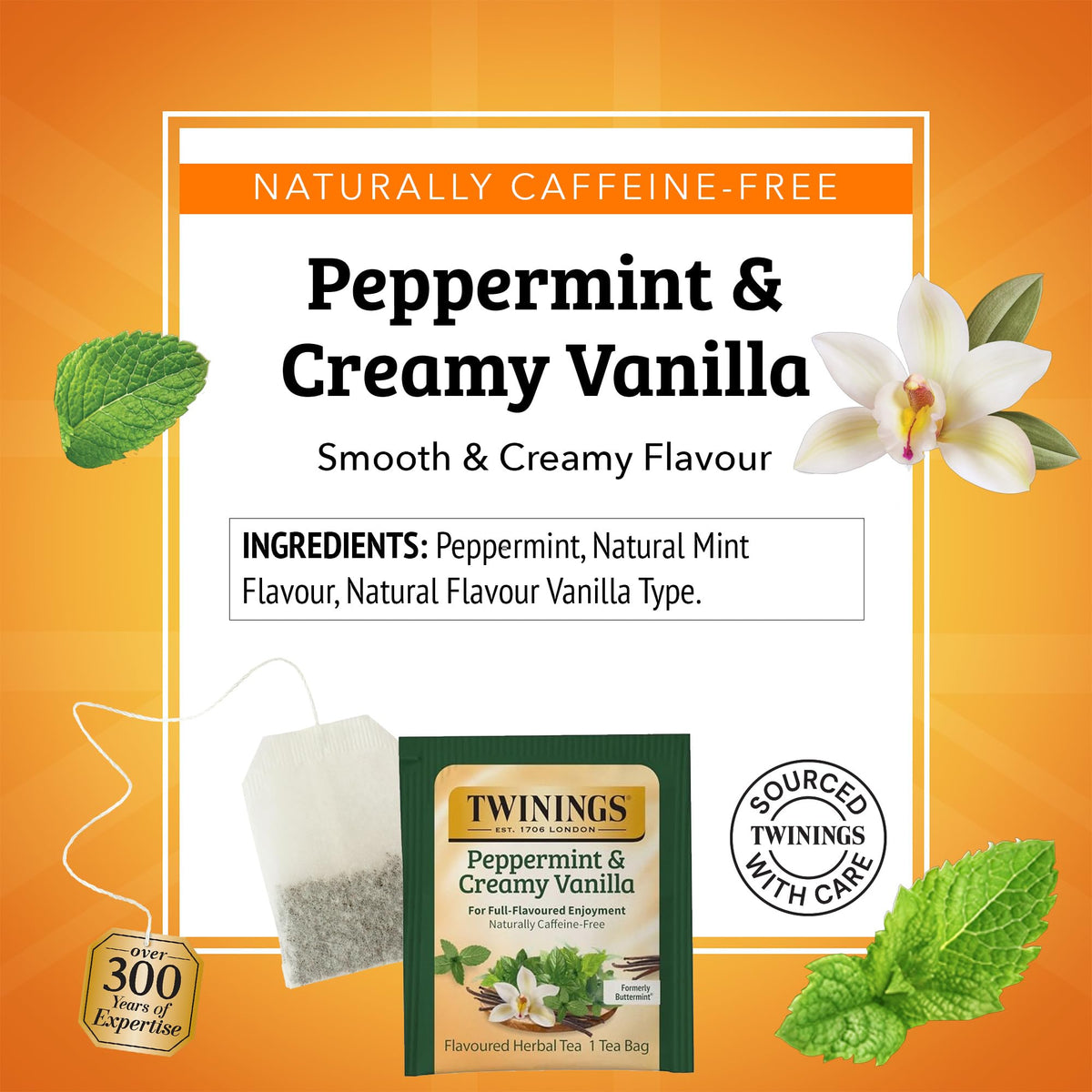 Twinings Peppermint & Creamy Vanilla Herbal Tea — Naturally Caffeine-Free, 120 Bags (Pack of 6)