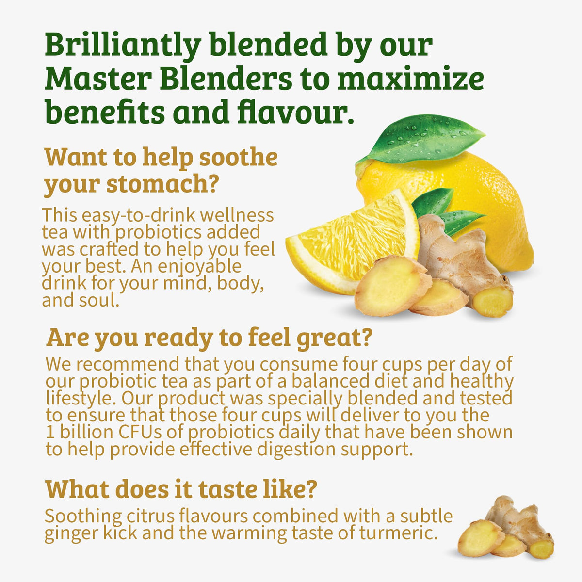 Twinings Lemon & Ginger with Probiotics — Caffeine-Free Herbal Tea, Digestive Support, 108 Bags