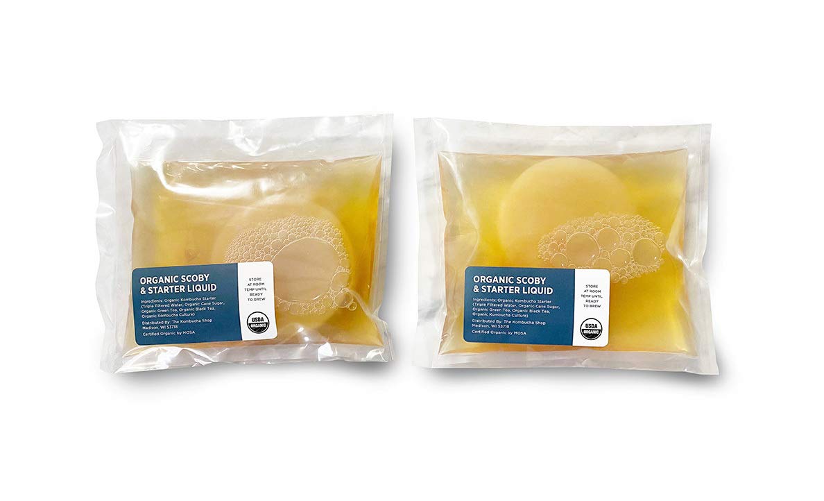 Urban Kitchen Organic SCOBY 2-Pack – Kombucha Starter Kit with Live Culture