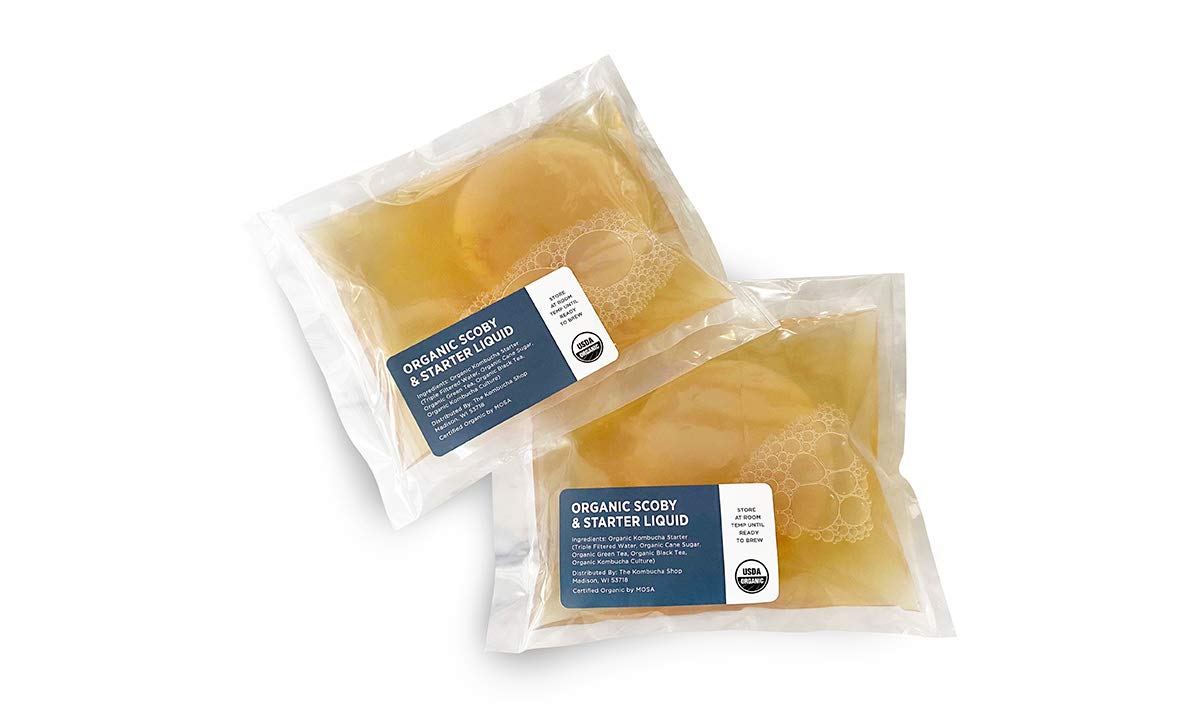 Urban Kitchen Organic SCOBY 2-Pack – Kombucha Starter Kit with Live Culture