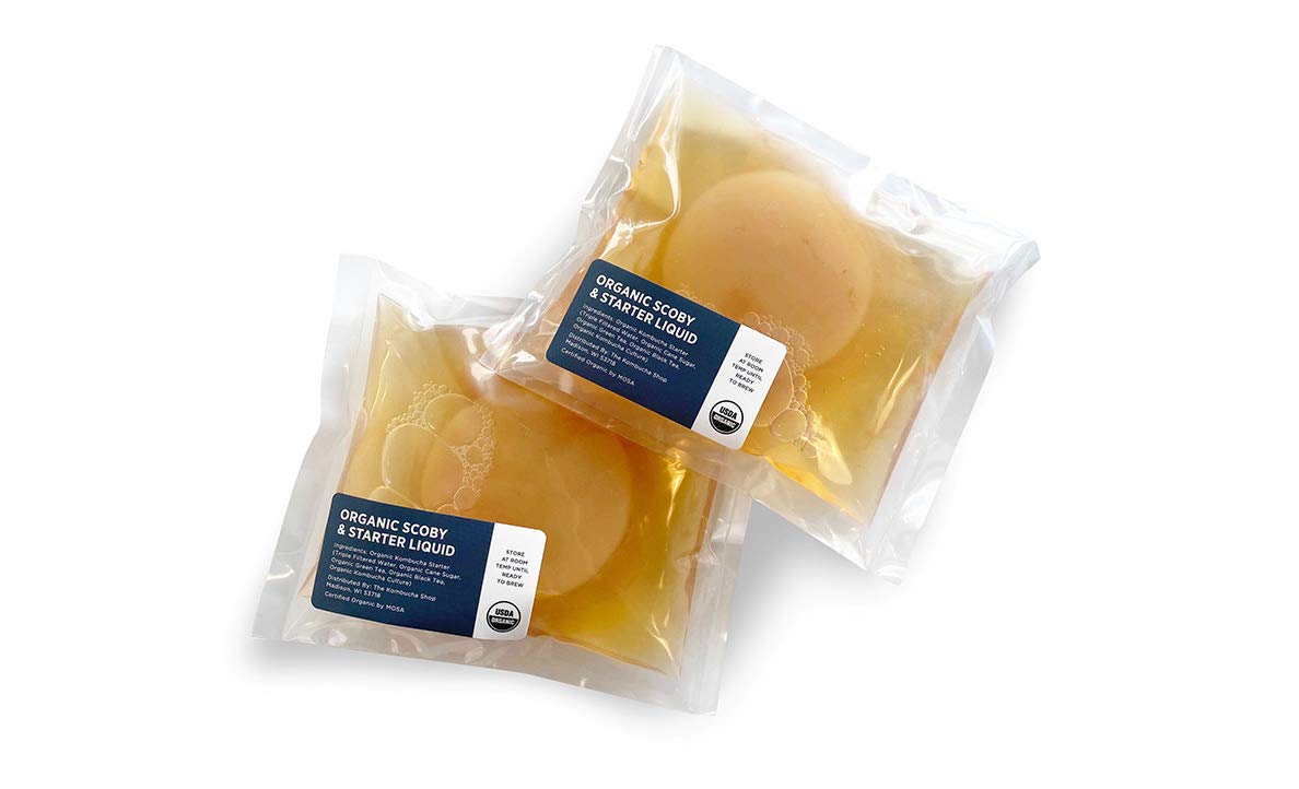 Urban Kitchen Organic SCOBY 2-Pack – Kombucha Starter Kit with Live Culture