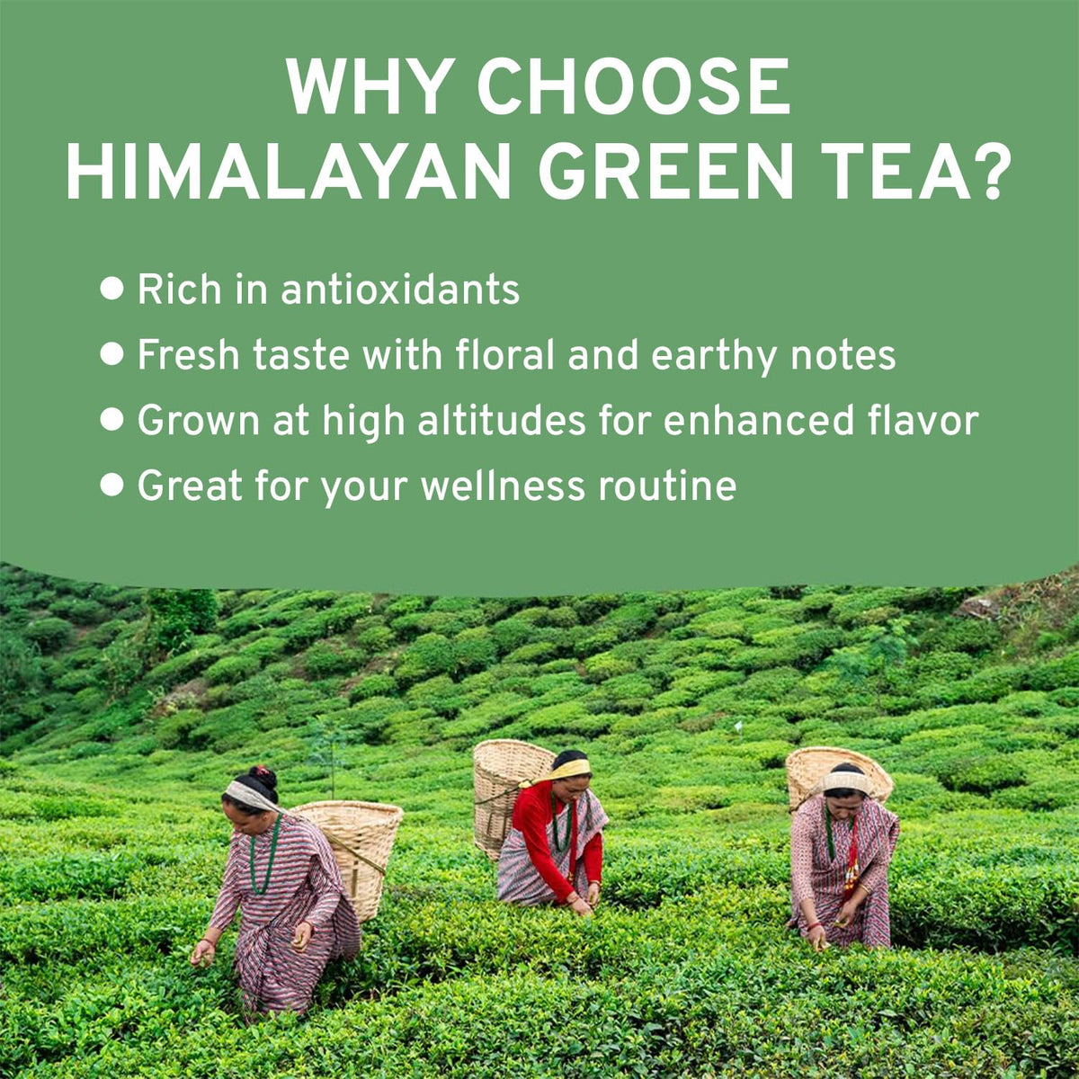 VAHDAM Himalayan Green Tea Leaves – 170+ Cups, Single-Origin, Vacuum-Sealed