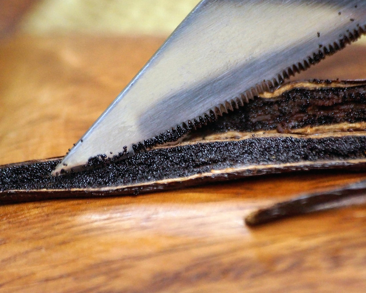 Vanilla Bean Kings | 50 Organic Madagascar Vanilla Beans – Whole Grade A Pods for Extract & Baking