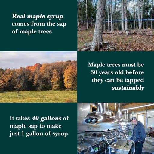 Vermont Maple Syrup 32 oz – Grade A Dark Organic Pure Syrup for Pancakes & More