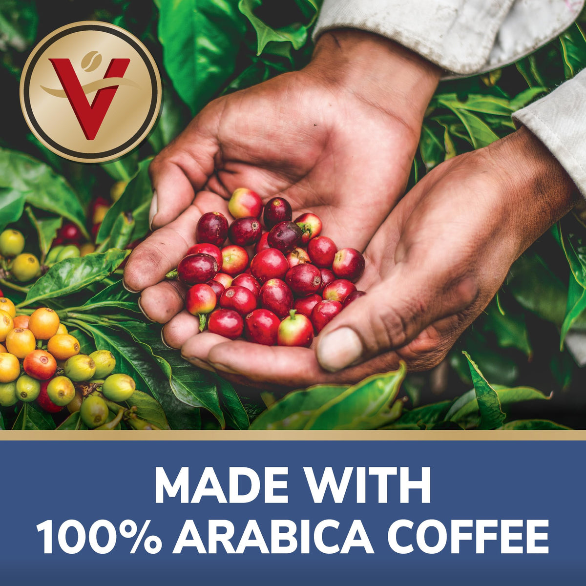 Victor Allen's Summertime Coffee Variety Pack – 36 K-Cup Pods, Medium Roast