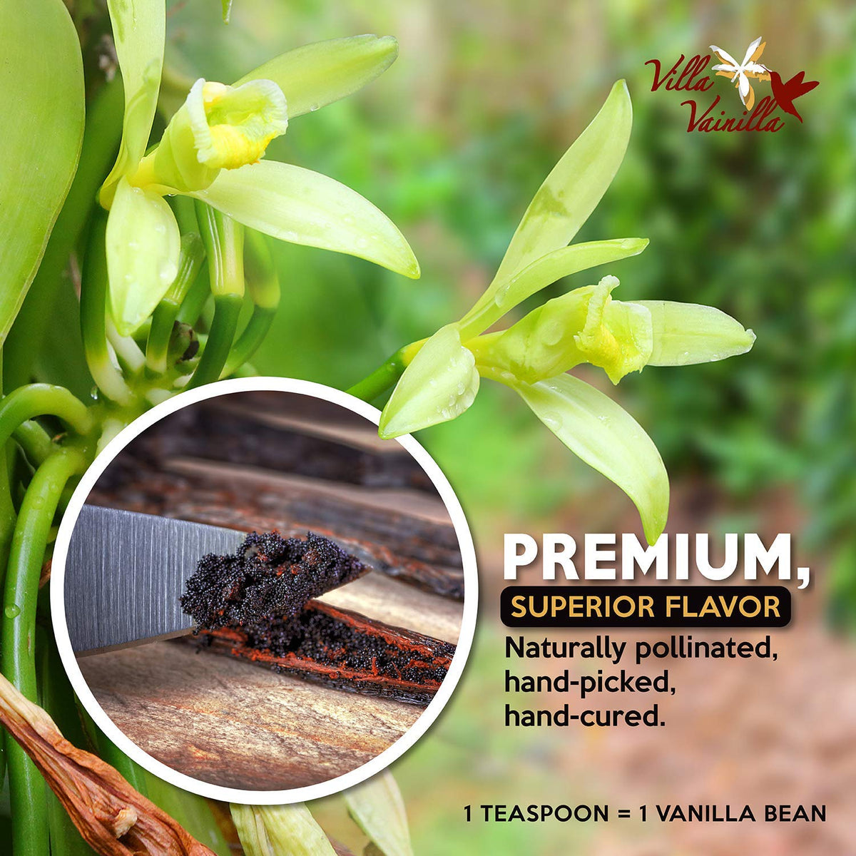 Villa Vainilla Pure Vanilla Extract – Premium Real Mexican Vanilla, 8.4 fl oz