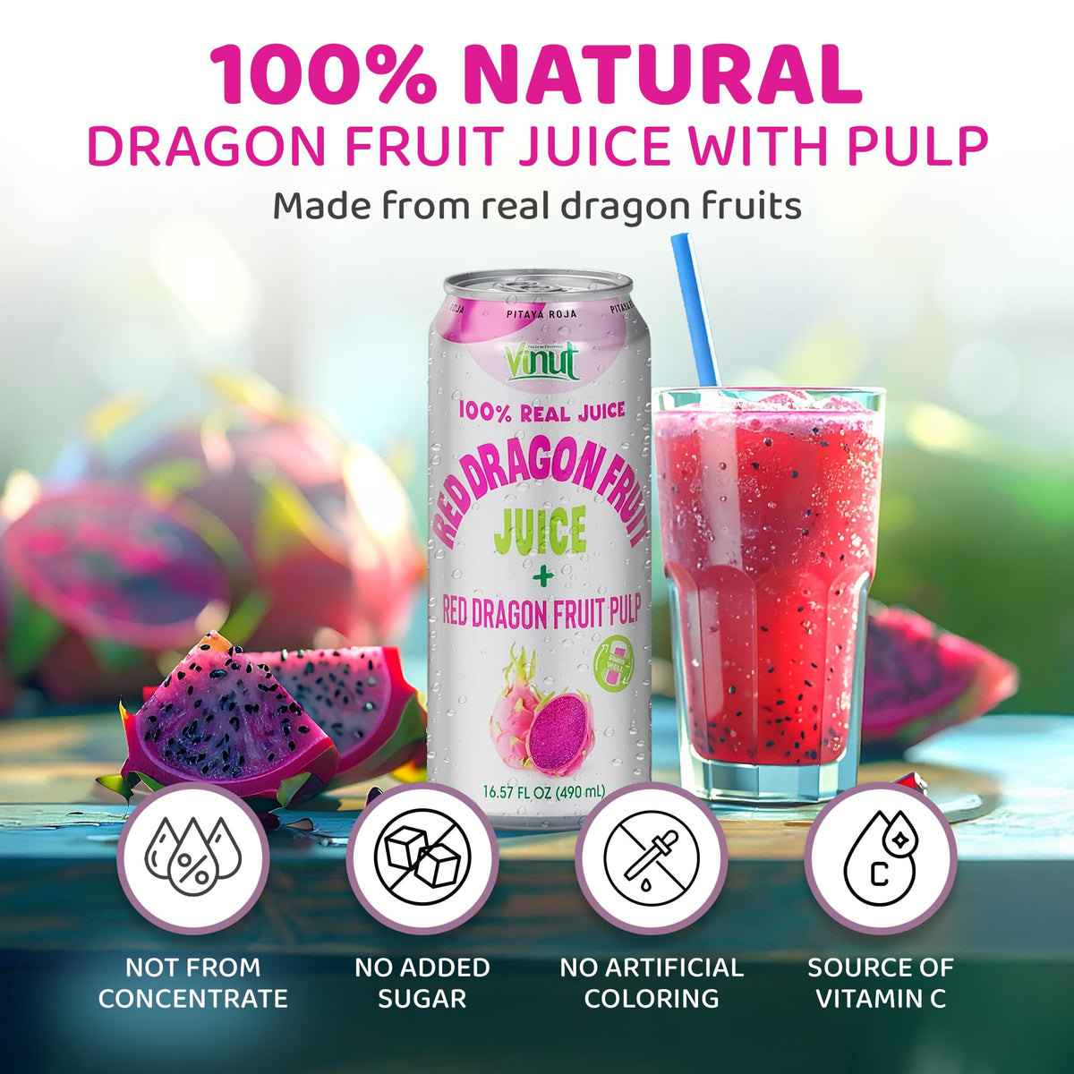 VINUT 100% Red Dragon Fruit Juice with Pulp – No Added Sugar, Not From Concentrate, 16.57 fl oz Can (490 mL), 12-Pack