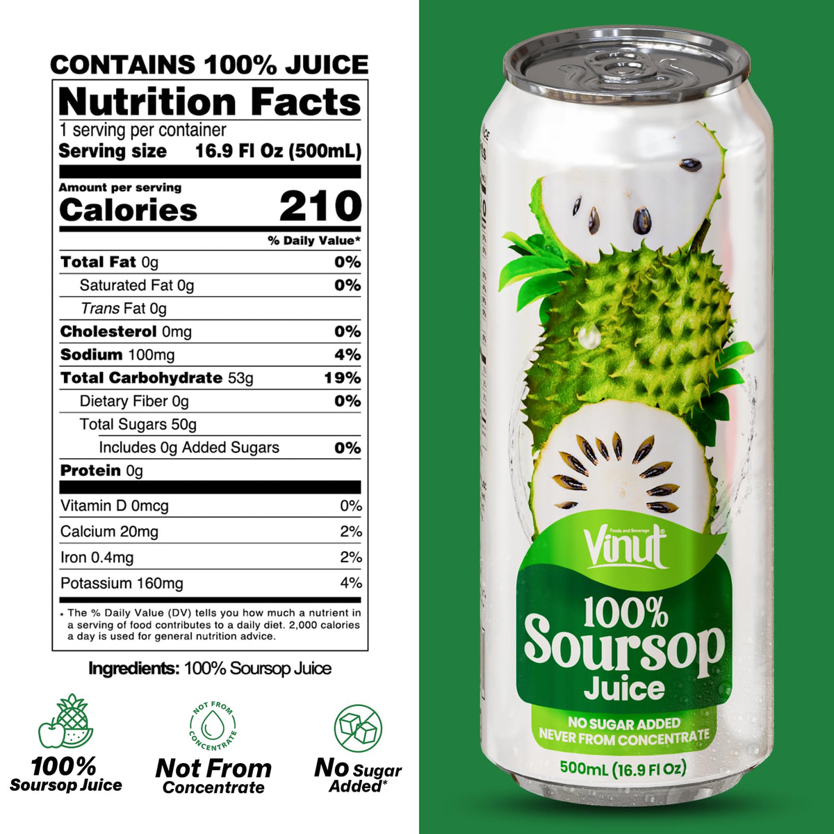 VINUT 100% Soursop Juice — No Added Sugar, Not From Concentrate | 16.9 oz Can (Pack of 12)
