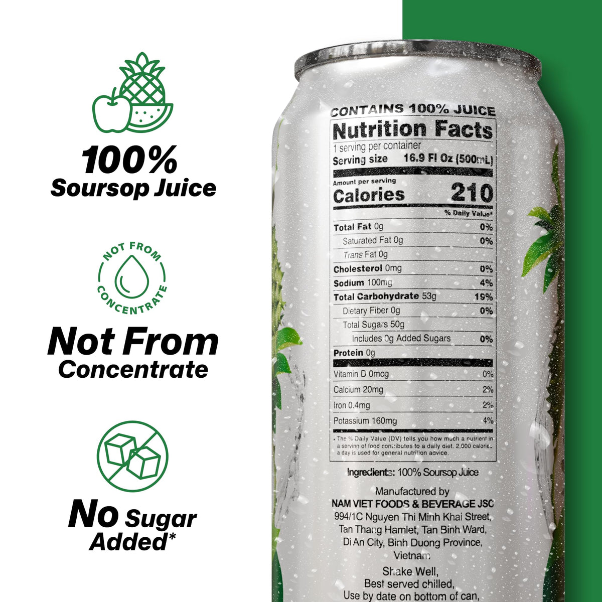 VINUT 100% Soursop Juice — No Added Sugar, Not From Concentrate | 16.9 oz Can (Pack of 12)