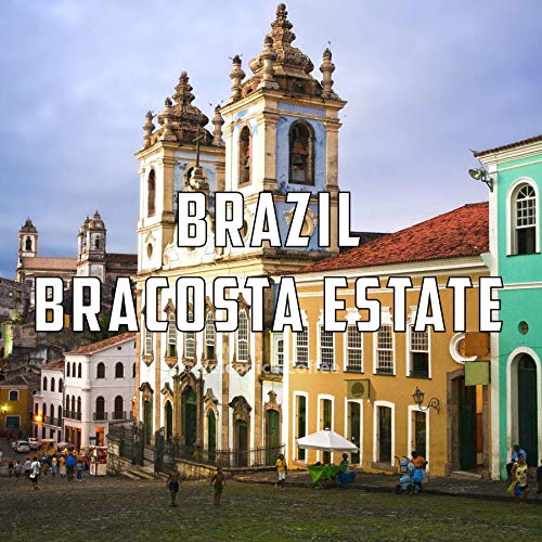 Volcanica Coffee Brazil Bracosta Estate Ground Coffee – Fresh Roasted 16 oz