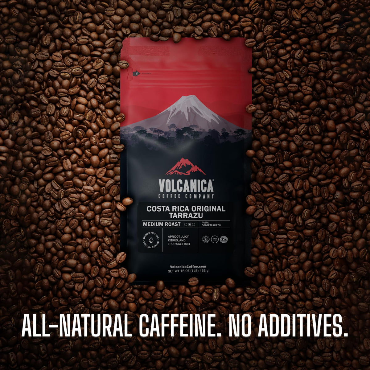 Volcanica Coffee Brazil Peaberry – Whole Bean, Fresh Roasted, 16-ounce