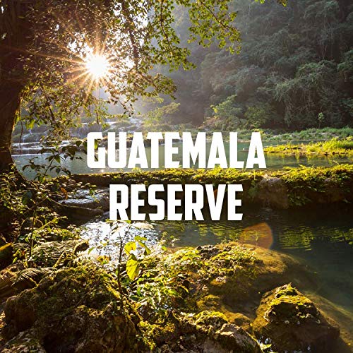 Volcanica Coffee Guatemala Antigua Dark Roast Reserve – Organic Ground, 16 oz, Kosher